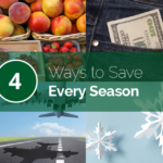 4 Ways to Save Every Season Blog Post Cover Image